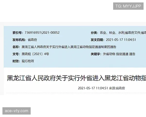 额外换人规则有哪些限制?详细拆解最新执行标准